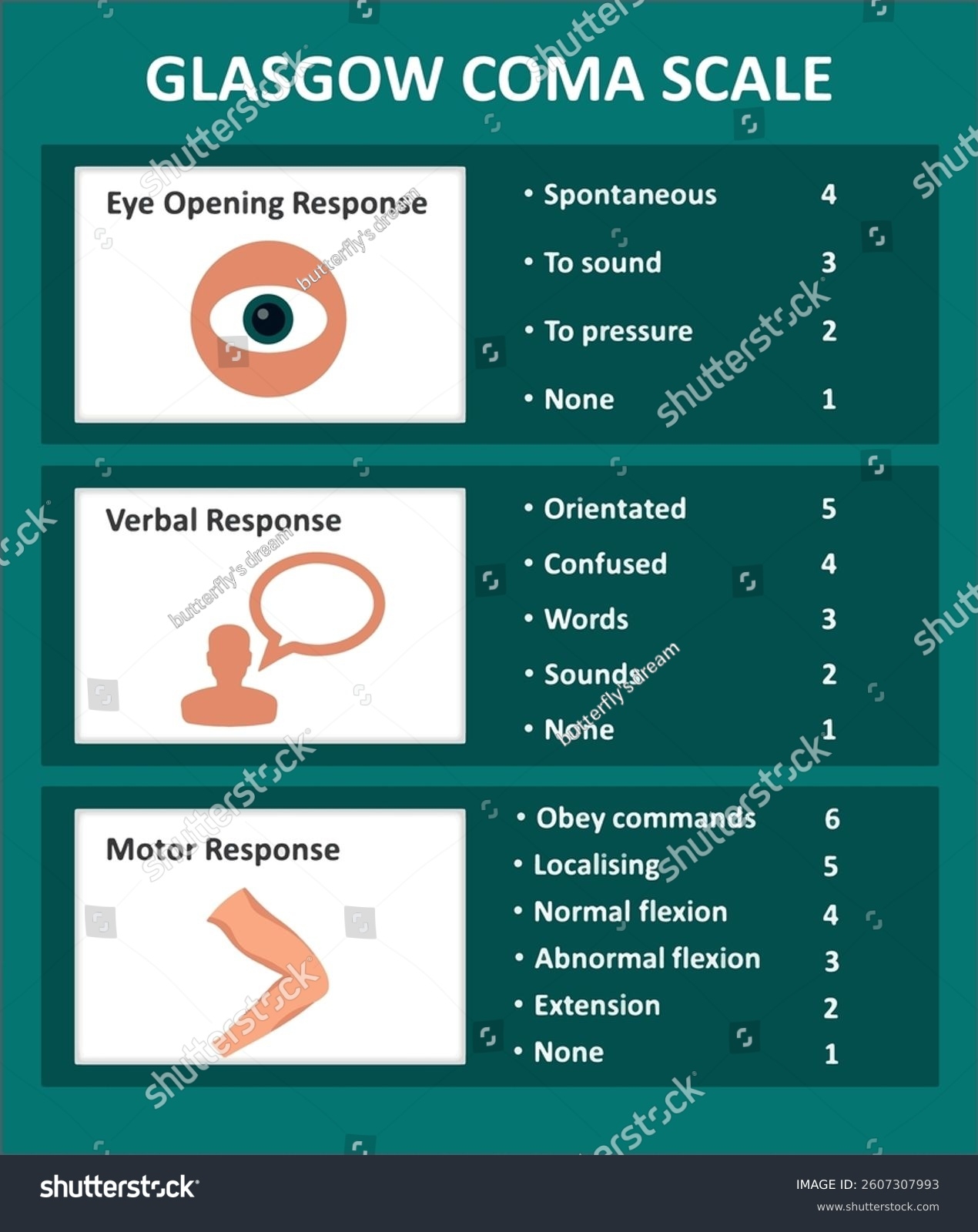 Printable Glasgow Coma Scale UK Printable Hub