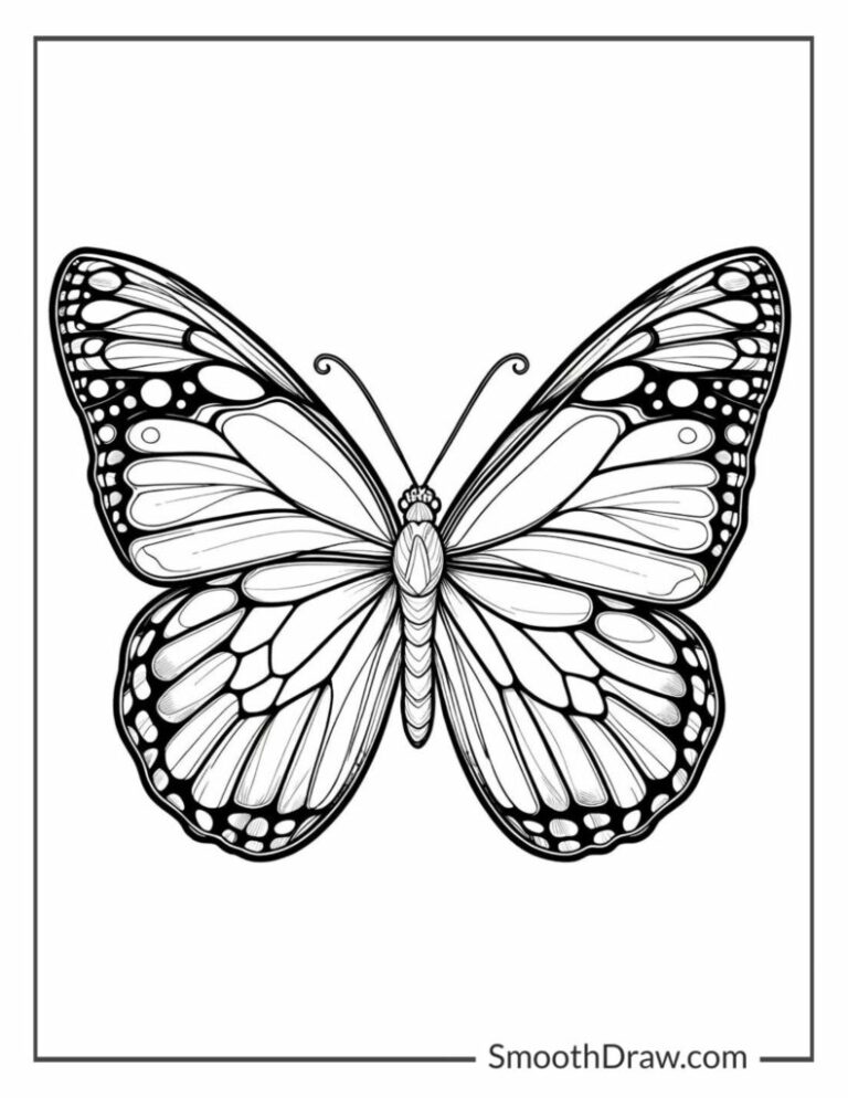 12 Butterfly Coloring Pages Free PDF Printables 