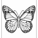 12 Butterfly Coloring Pages Free PDF Printables 