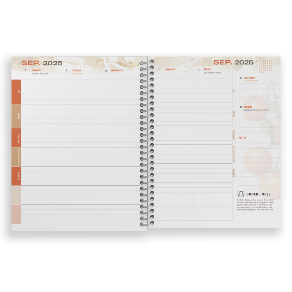 2025 2026 Student Planner Openlight Media Shop