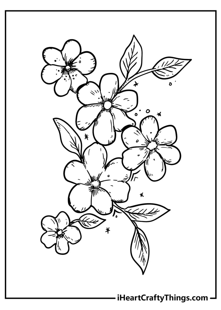 printable flower pictures to color