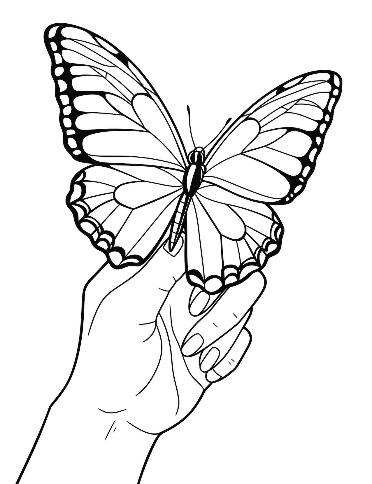 realistic butterfly coloring pages