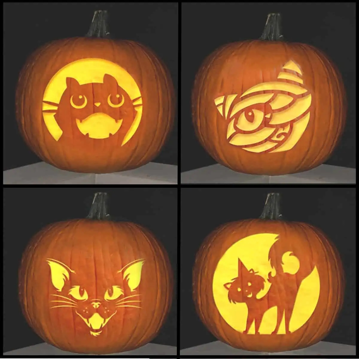 67 Cute Cat Pumpkin Carving Patterns For Free Artsy Pretty Plants
