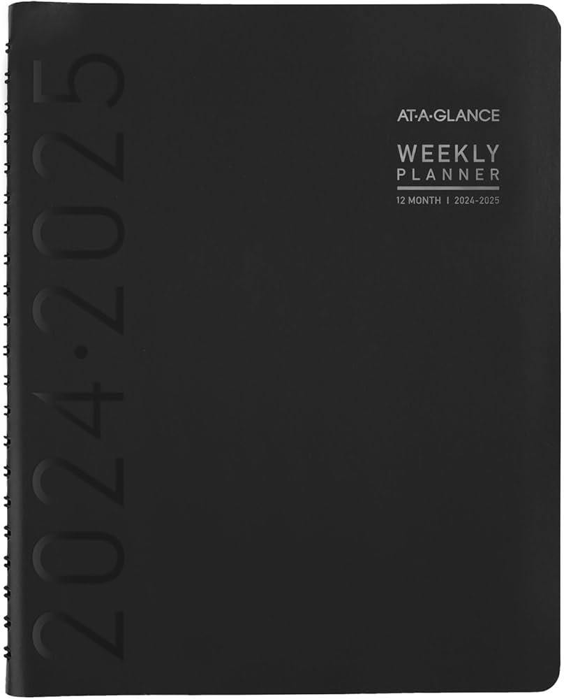 at a glance 2025 monthly planner