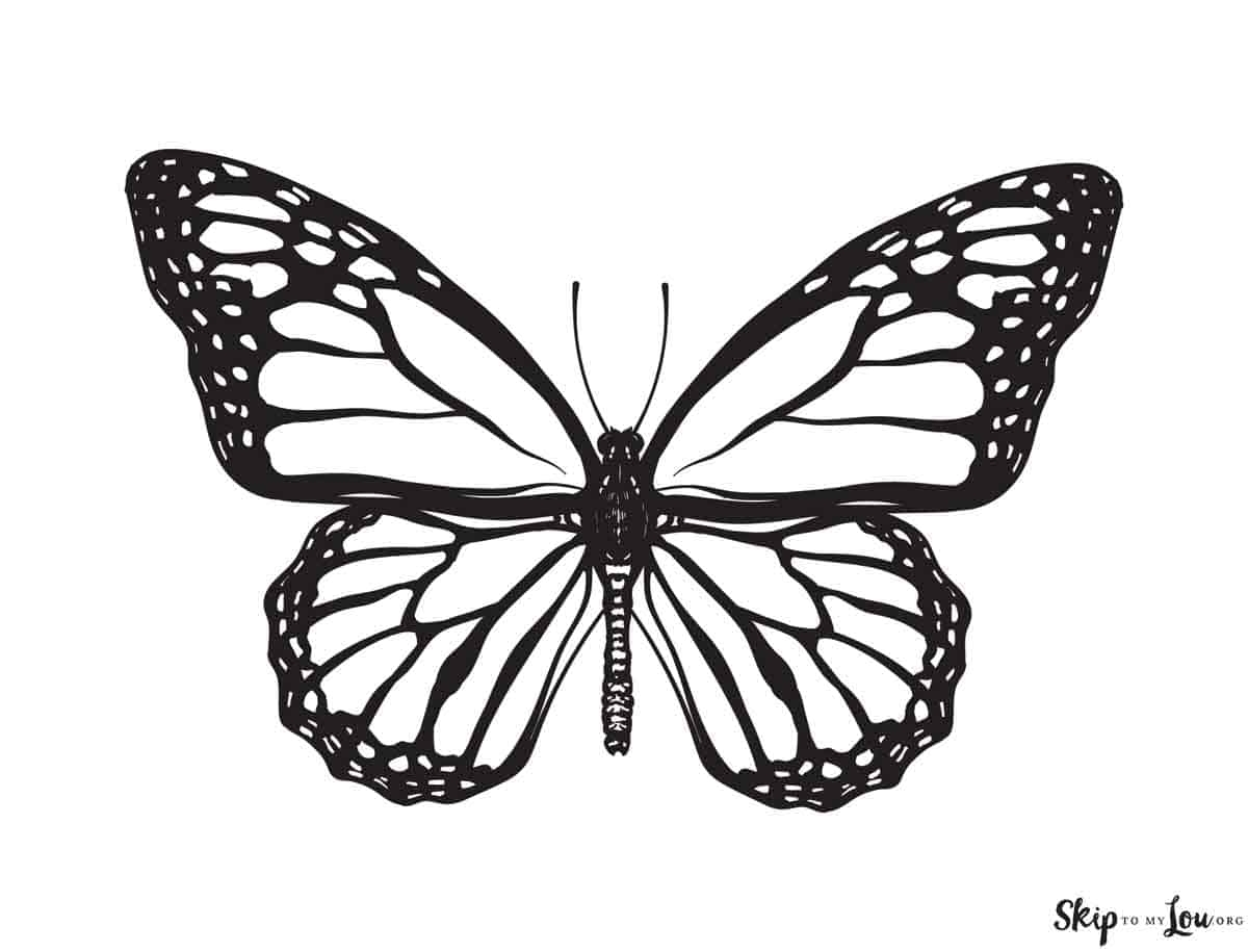 coloring page of a butterfly