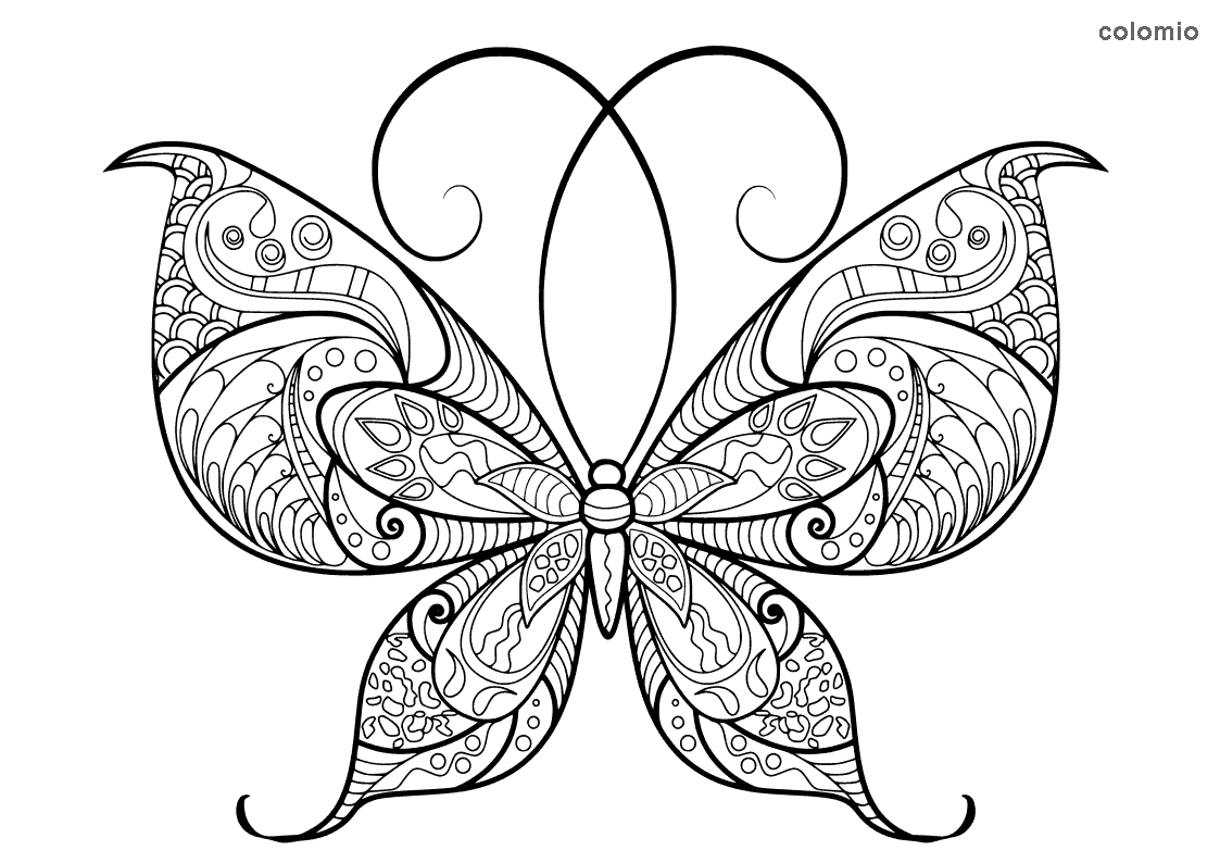 free butterfly coloring pictures