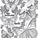Butterfly Moth Coloring Pages Realistic Nature Art digital Download Etsy