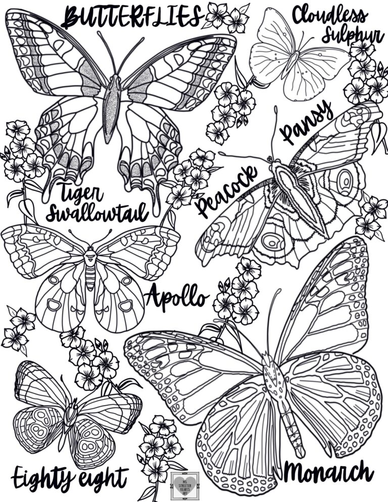Butterfly Moth Coloring Pages Realistic Nature Art digital Download Etsy