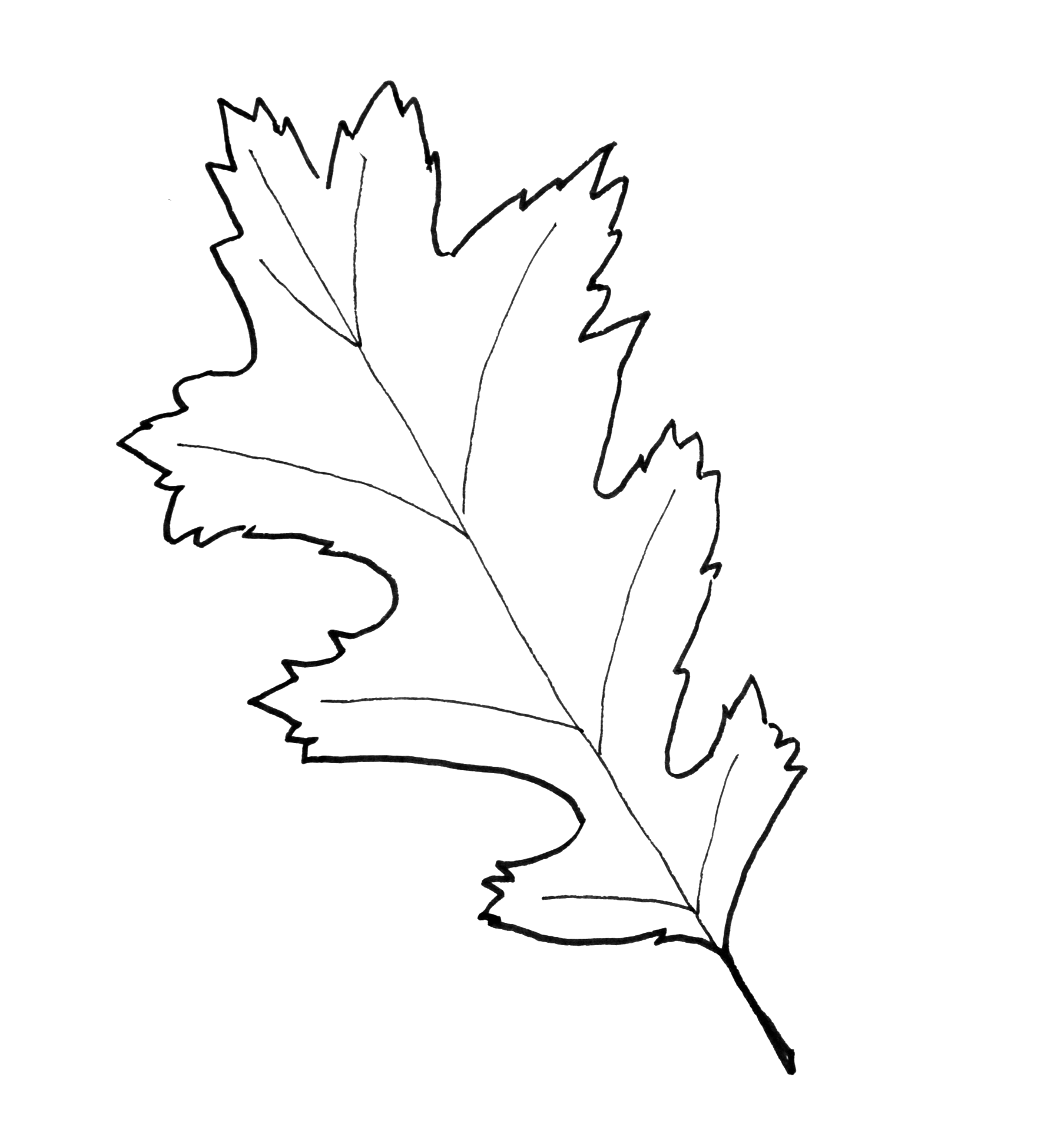 fall leaf patterns printable fall leaf patterns printable