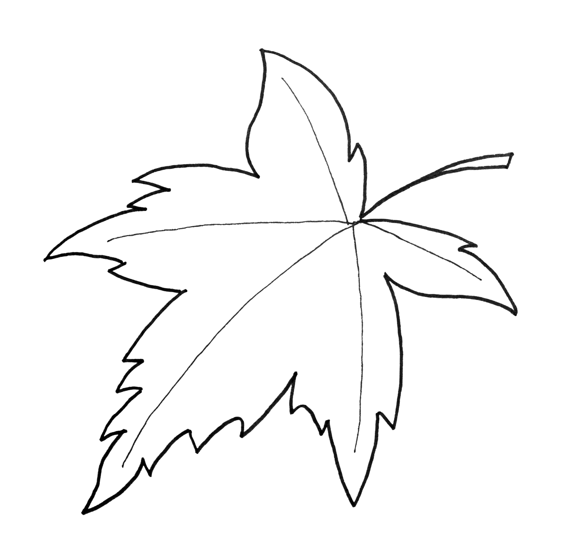 template for maple leaf