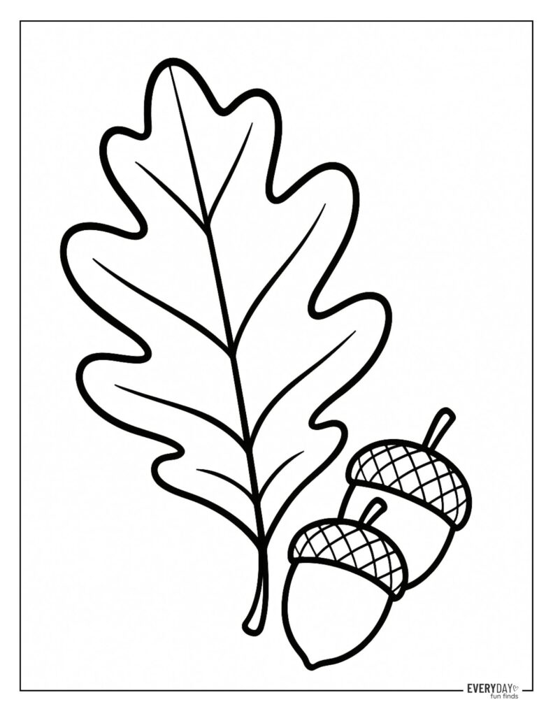 leaf pictures to color