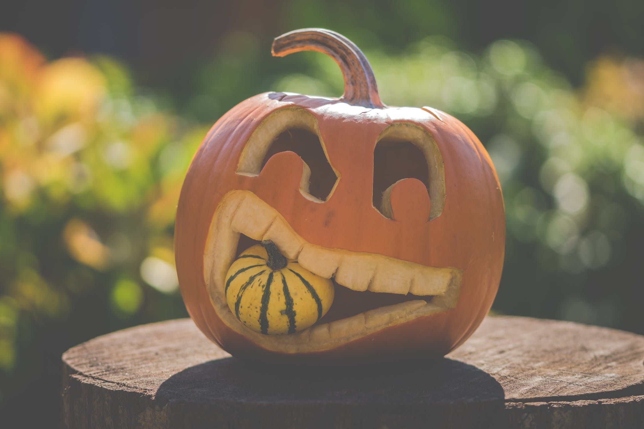 pumpkin carving stencils free printable