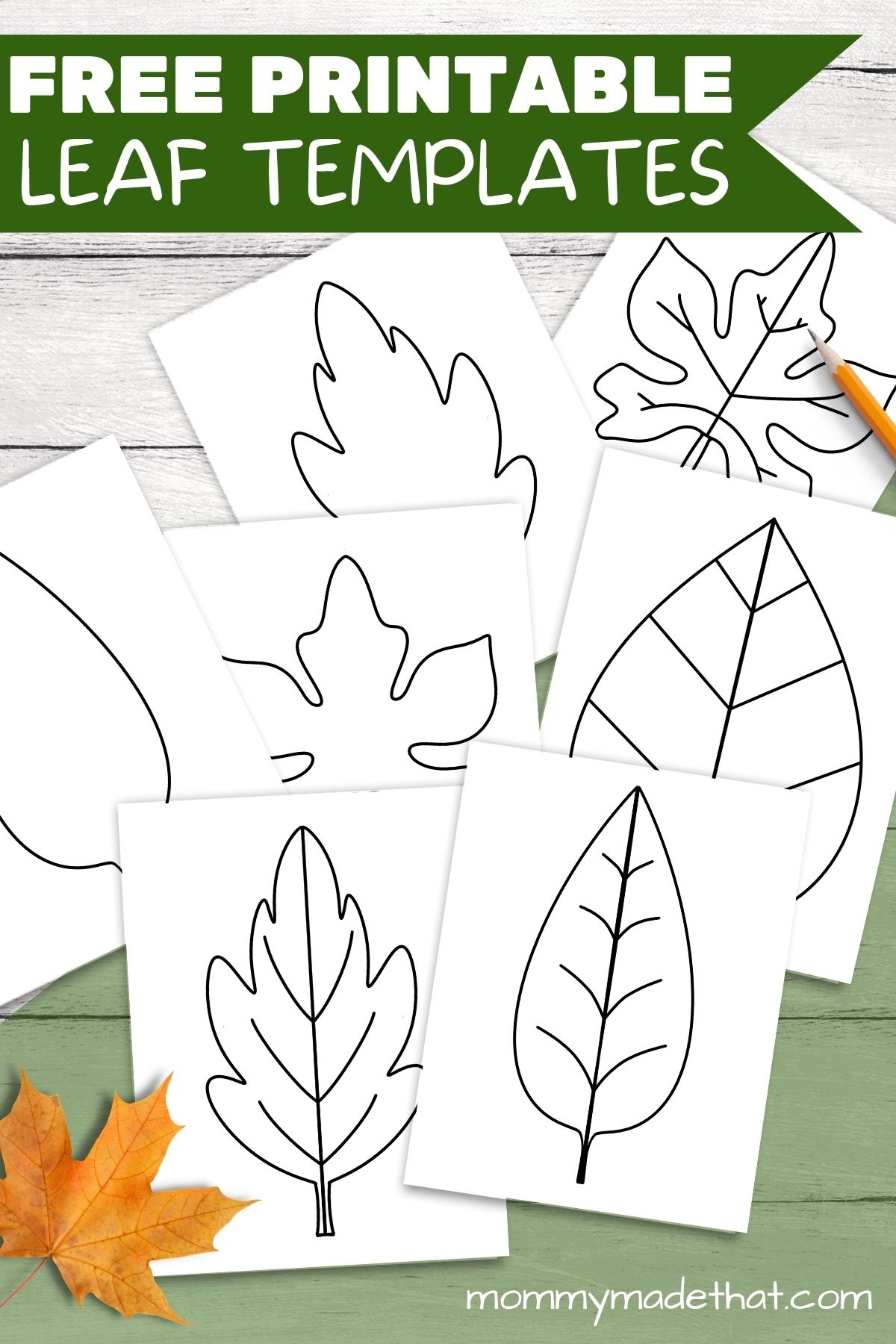 free fall leaf printable free fall leaf printable