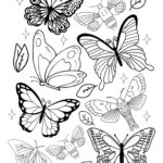 Free Simple Butterfly Coloring Pages Little Moon