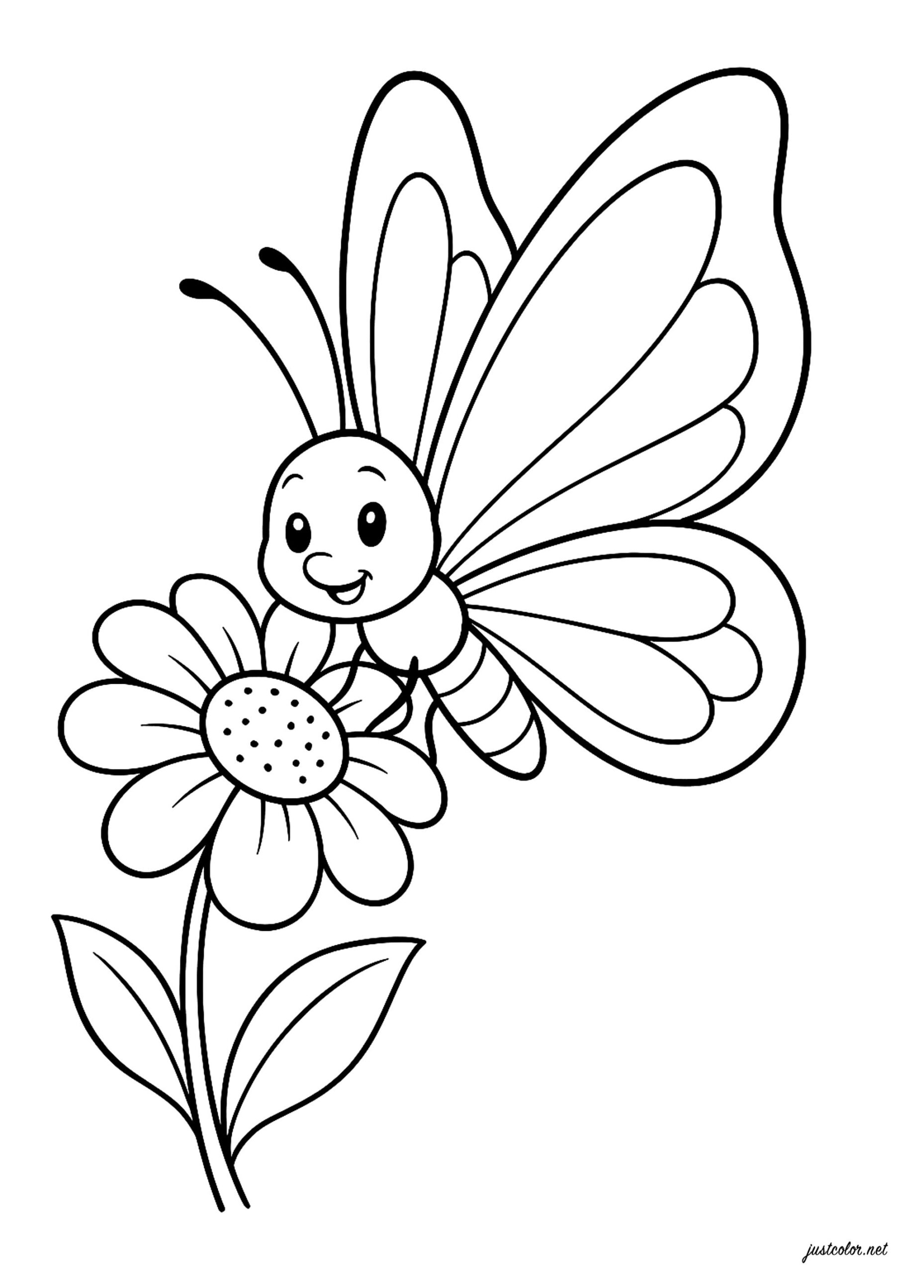 butterfly coloring sheet printable
