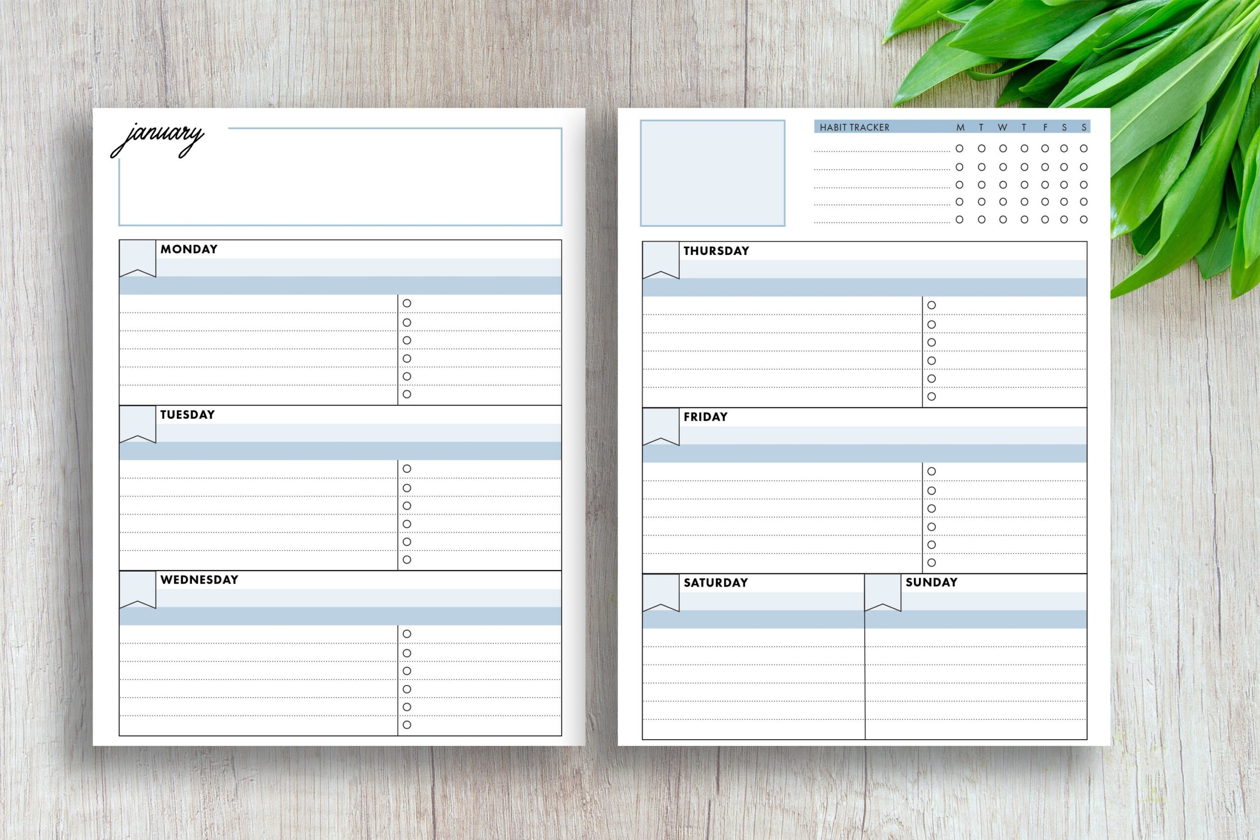 Printable Undated Weekly Calendar Horizontal 2 Page Planner